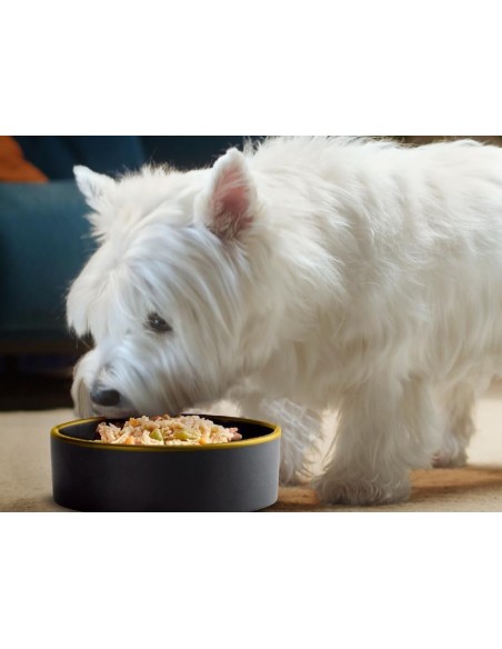 Cesar Fresh Bowls Pollame con Riso rosso Fagiolini e Zucca gr.85. Cibo Umido per cani