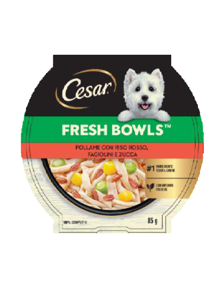 Cesar Fresh Bowls Pollame con Riso rosso Fagiolini e Zucca gr.85. Cibo Umido per cani