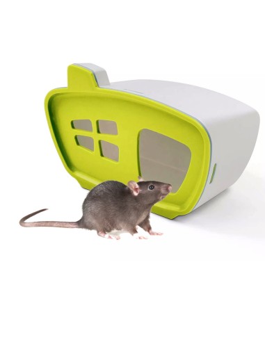 Casetta criceto Pebble Savic. Cucce e Letti per Roditori