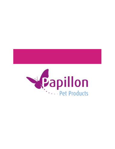 Bruco In Cartone con Piuma . Giochi per gatti