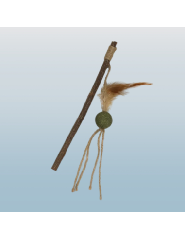 Canna Da Pesca Di Matatabi Con Catnip. Giochi Per Gatti .