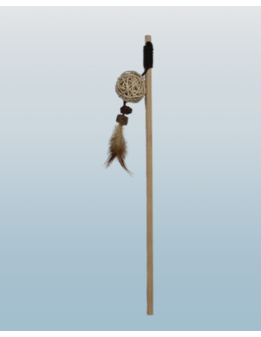 Canna Da pesca Con palla . Giochi per Gatti