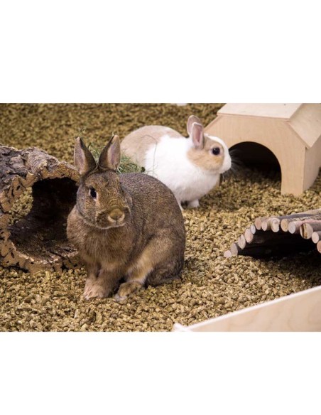 Bunny Bedding Cosy Lt 20 Strato di paglia Naturale. Lettiera per roditori .