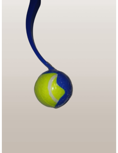 Gioco Catapulta con Palla . Giochi per Cani