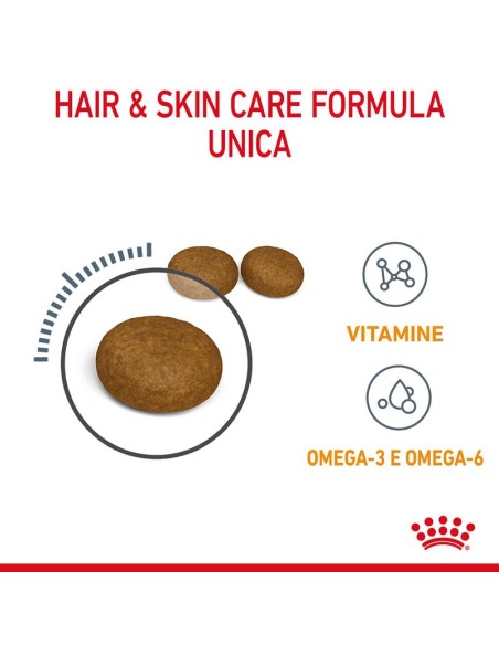 Hair and Skin Royal Canin gr 400. Cibo Secco Per Gatti