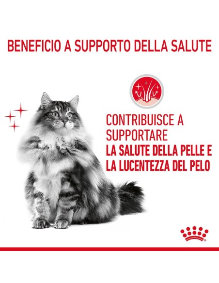 Hair and Skin Royal Canin gr 400. Cibo Secco Per Gatti