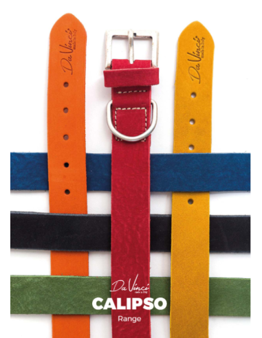 Collare Calipso Pelle Verde 40x2 cm . Guinzagli e Collari per cani