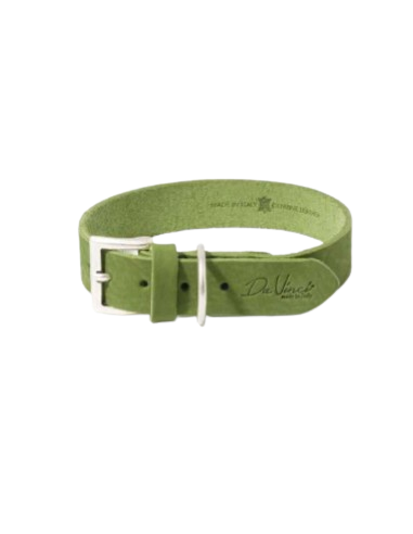 Collare Calipso Pelle Verde 40x2 cm . Guinzagli e Collari per cani