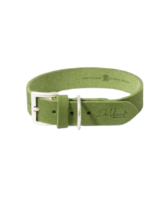 Collare Calipso Pelle Verde 60x4 cm . Guinzagli e Collari per cani