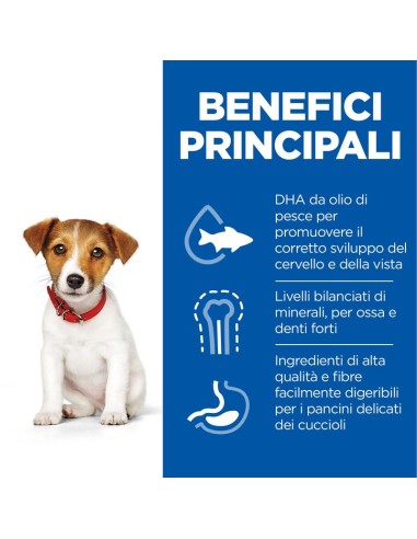 Hill's Canine Puppy Small  And Mini  Agnello e Riso GR.300. Puppy.