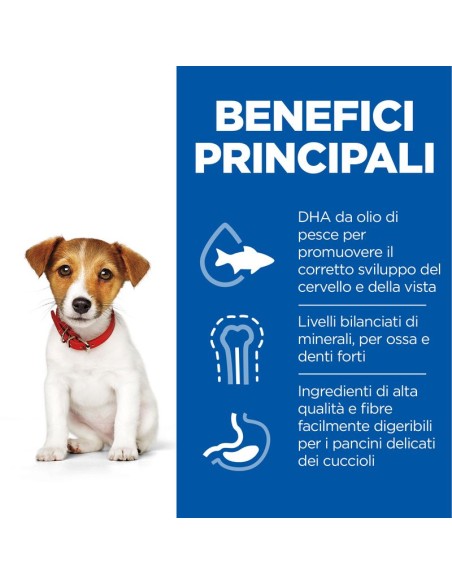 Hill's Canine Puppy Small  And Mini  Agnello e Riso GR.300. Puppy.