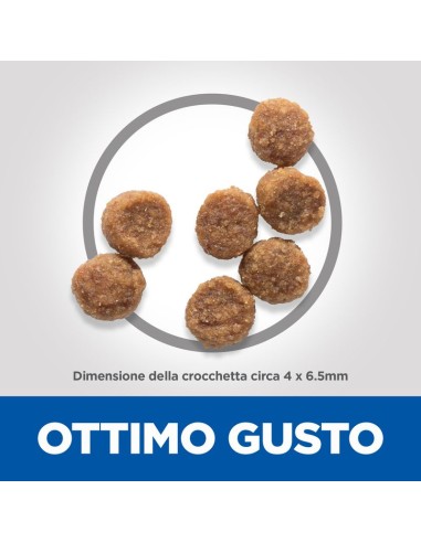 Hill's Canine Puppy Small  And Mini  Agnello e Riso GR.300. Puppy.