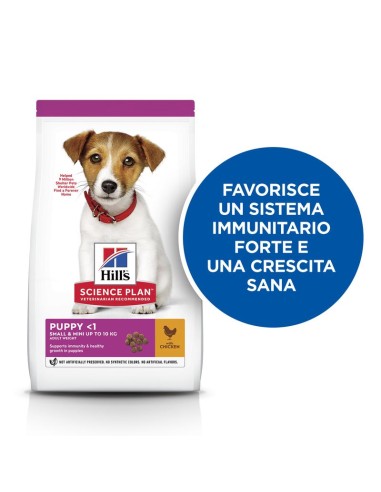 Hill's Canine Puppy Small  And Mini  Agnello e Riso GR.300. Puppy.