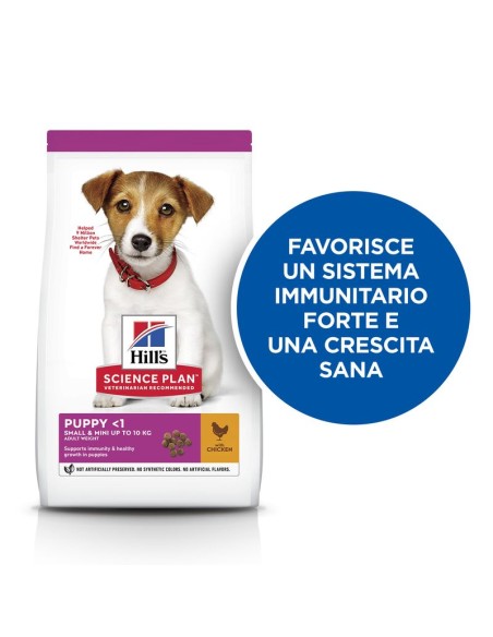 Hill's Canine Puppy Small  And Mini  Agnello e Riso GR.300. Puppy.