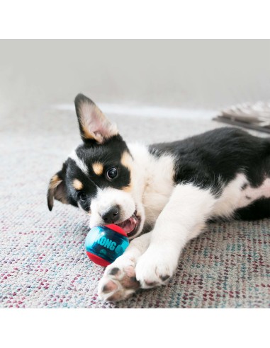 Kong Squeez Action Ball Red Large . Giochi per cani