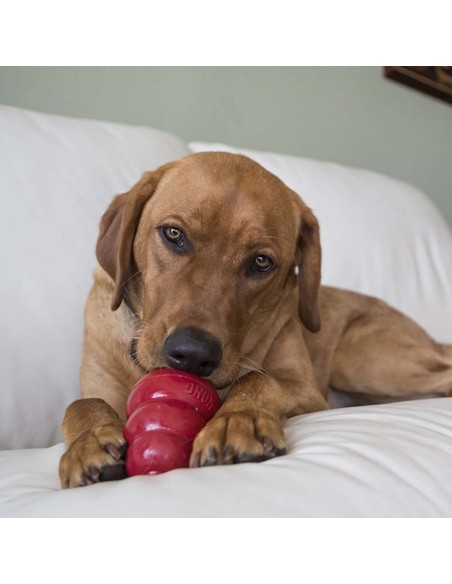 Kong Snack Bacon e Formaggio Large gr 312. Snack per Cani .