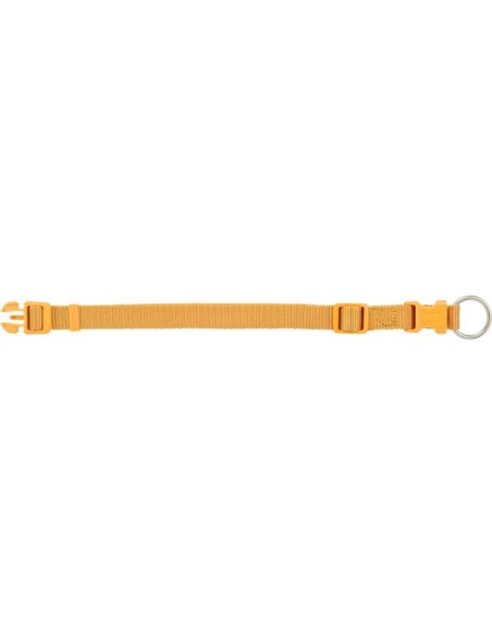 Collare Premium Misura xsmall-Small 22-35 cm /10 mm Acqua Curry. Guinzagli e Collari .