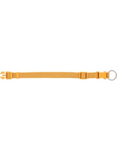Collare Premium Misura Small 25-40cm /15 mm Curry Guinzagli e Collari .