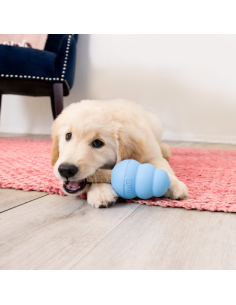 Kong Ziggies Enhanced Puppy small gr 198 gr. Snack Per Cani.