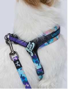 Pettorina Complete me mis-1  28-38 cm . Viola .Vintage . Guinzagli e Collari per cani. 2