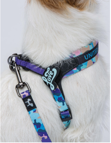 Pettorina Complete me mis-1  28-38 cm . Viola .Vintage . Guinzagli e Collari per cani.