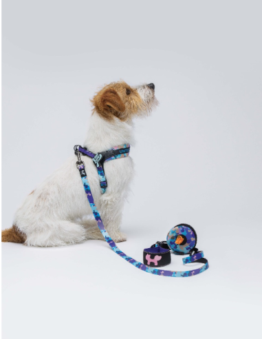 Pettorina Complete me mis-1  28-38 cm . Viola .Vintage . Guinzagli e Collari per cani.