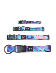 Collare Complete Me misura small 26-40 cm /1,6 cm Viola Vintage . Guinzagli e Collari per cani.