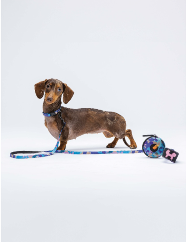 Collare Complete Me misura small 26-40 cm /1,6 cm Viola Vintage . Guinzagli e Collari per cani.