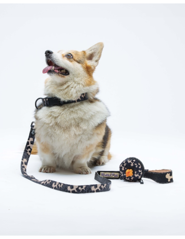 Collare Complete me Misura xsmall 18-30 cm 1 cm Beige nero. Guinzagli e Collari per cani.