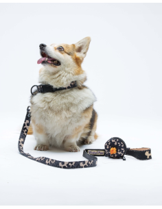 Collare Complete me Misura small 26-40 cm /1,6 cm Beige nero. Guinzagli e Collari per cani.