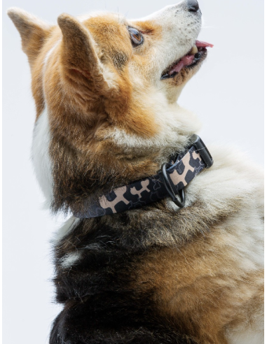 Collare Complete me Misura small 26-40 cm /1,6 cm Beige nero. Guinzagli e Collari per cani.