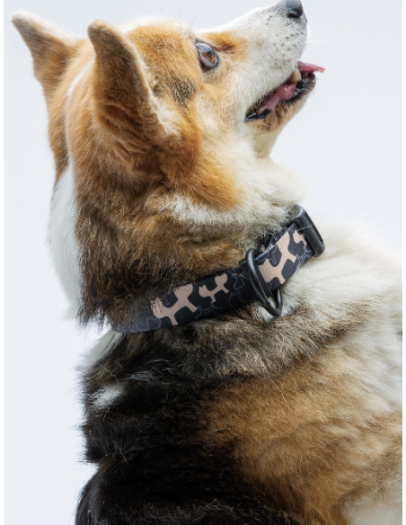 Collare Complete me Misura small 26-40 cm /1,6 cm Beige nero. Guinzagli e Collari per cani.