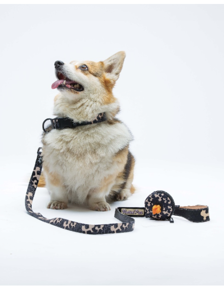 Collare Complete me Misura large 43-73 cm /2 cm Beige nero. Guinzagli e Collari per cani.