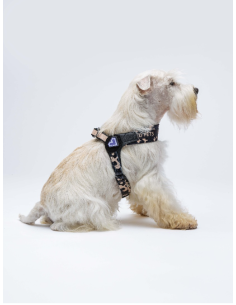 Pettorina Complete me mis . 1 28-38 cm  2/3 kg Nero /Beige . Guinzagli e Collari per cani.