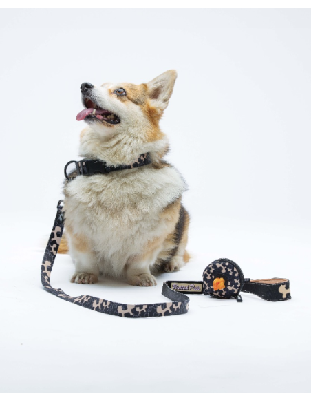 Guinzaglio Complete me Misura small 1,6 cm 140 cm nero e beige . Guinzagli e Collari per Cani .