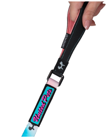 Guinzaglio Complete  Me Misura Large2,5 CM / 120 CM . Azzurro /rosa , Guinzagli e Collari per cani