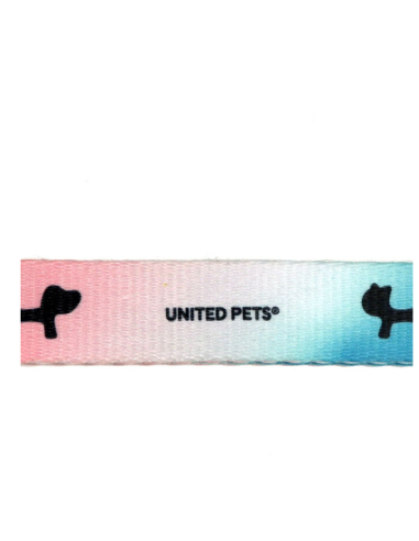 Guinzaglio Complete  Me Misura Large2,5 CM / 120 CM . Azzurro /rosa , Guinzagli e Collari per cani