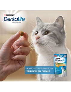 Purina Dentalife Cat Pollo gr 140. Snack per gatti 2