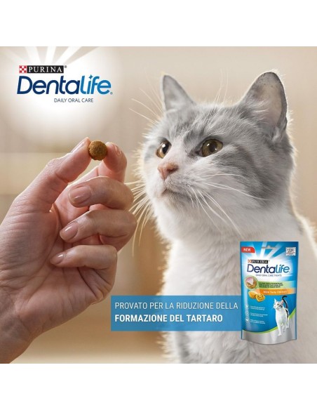 Purina Dentalife Cat Pollo gr 140. Snack per gatti