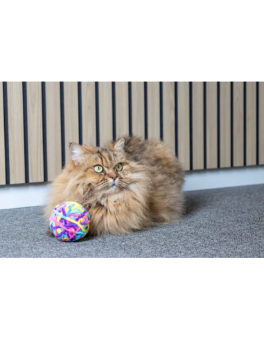 Gioco Vetru Palla Vari Colori. Giochi per Gatti