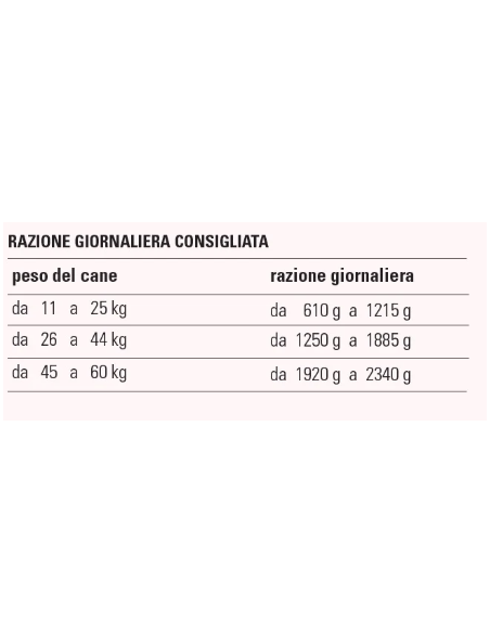 PROLIFE Grain Free Maiale e Patate M/L gr.800. Cibo Umido per cani