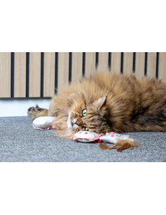 Gioco Lovu Sole beige . Gioco per gatto. 2