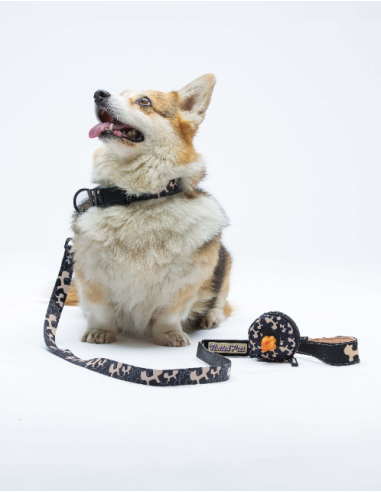 Guinzaglio Complete Me misura Large 2,5 cm /120 cm Nero Beige . Guinzagli e Collari per cani