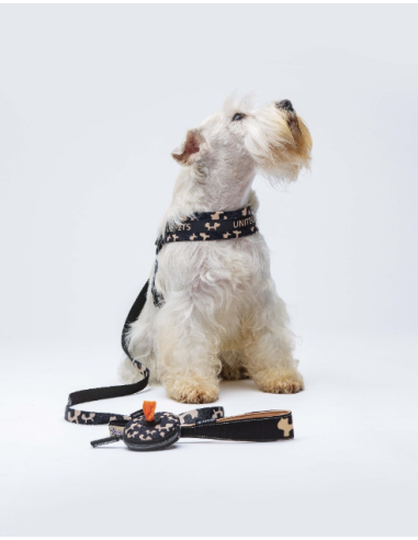 Guinzaglio Complete Me misura Large 2,5 cm /120 cm Nero Beige . Guinzagli e Collari per cani