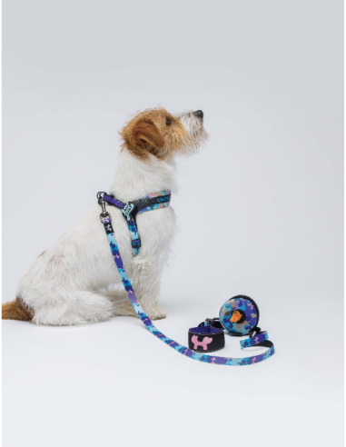 Guinzaglio Complete Me Misura Small 1,6 cm /140 cm Viola /Vintage. Guinzagli e Collari per cani