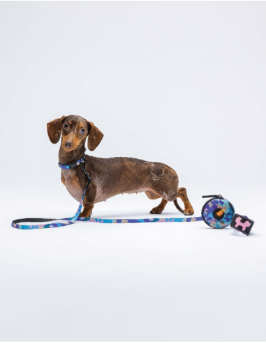 Guinzaglio Complete Me Misura Small 1,6 cm /140 cm Viola /Vintage. Guinzagli e Collari per cani