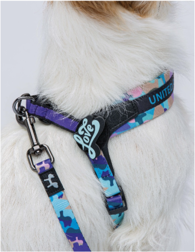 Guinzaglio Complete Me Misura Media 2 cm /140 cm Viola Vintage . Guinzagli e Collari per cani.