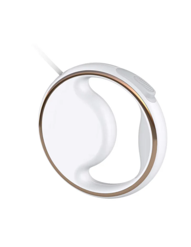 Charly Lesh Guinzaglio Retrattile con Luce . Guinzagli e Collari per cani.