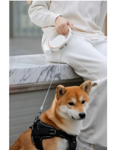 Charly Lesh Guinzaglio Retrattile con Luce . Guinzagli e Collari per cani.