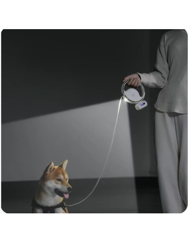 Charly Lesh Guinzaglio Retrattile con Luce . Guinzagli e Collari per cani.